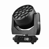19 * 60W LED LEMPOSE LEUR ESE-OEIL